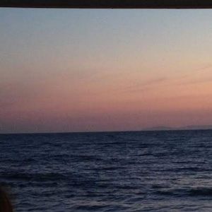 Meet your Posher, Jane